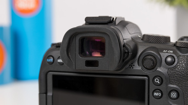 Mirrorless camera: electronic viewfinder