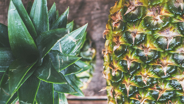 When do you choose a macro lens