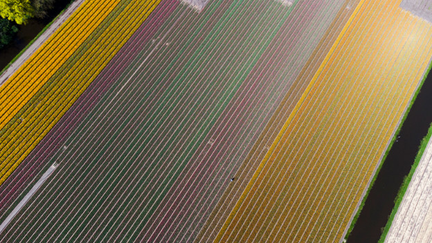 Right camera direction