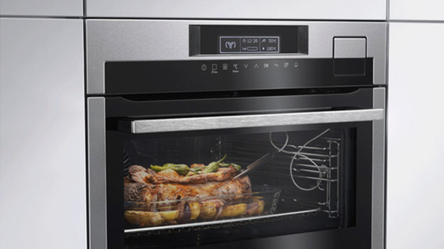 Built-in oven with meat