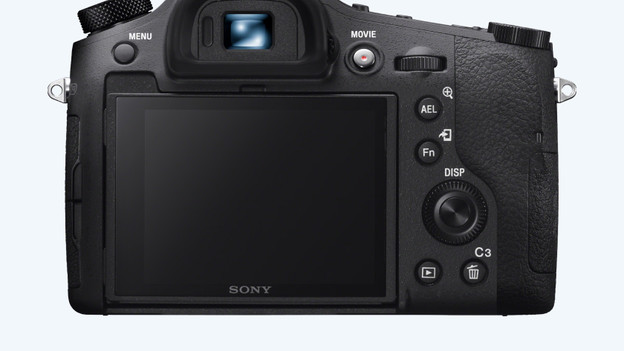 Sony Cybershot DSC-RX10 IV: large image sensor
