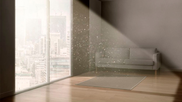 Bacteria in the house