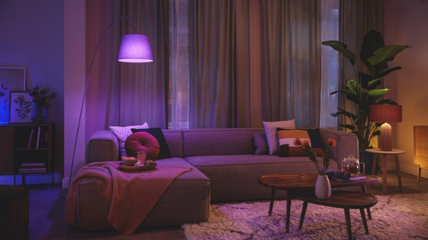 WiZ: werkt met veel slimme systemen