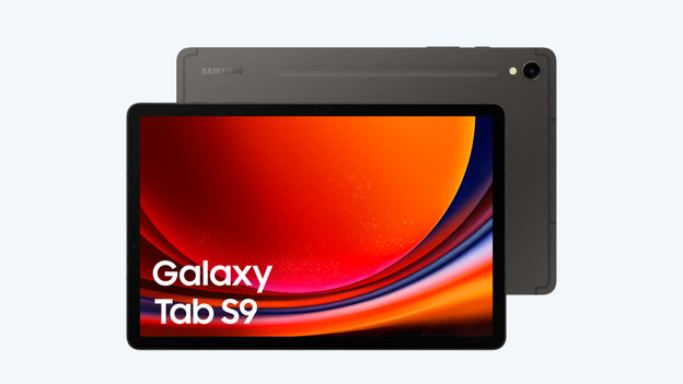 Tab S9: 11 inch met 2 camera's