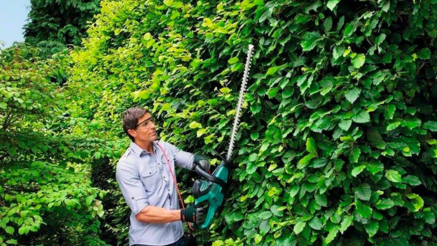 Electric hedge trimmer: trim continuously