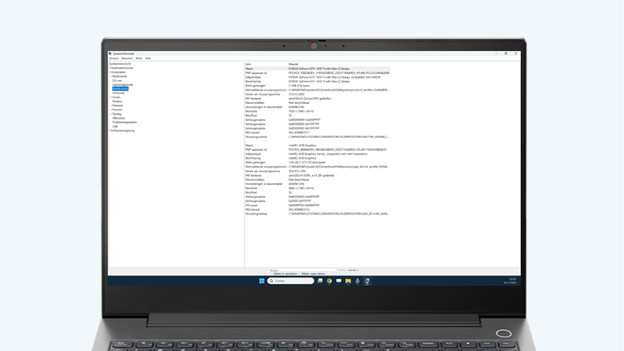 Videokaart opzoeken via Systeeminformatie