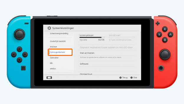 Nintendo Switch storage