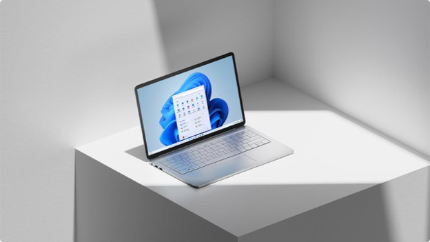 Verschillende soorten back-ups