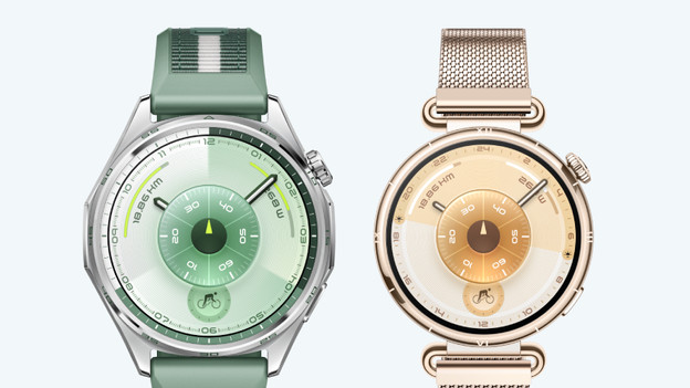 GT 6: roestvrijstalen horlogekast