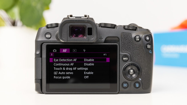 Canon EOS RP: photograph with 5 fps