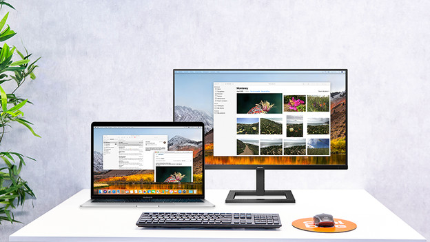 Connect your monitor
