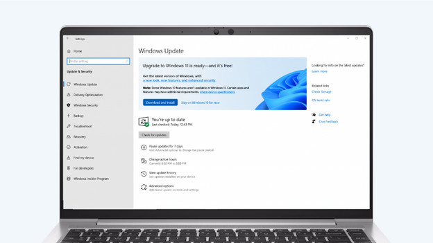 Download en installeer de Windows 11 update.