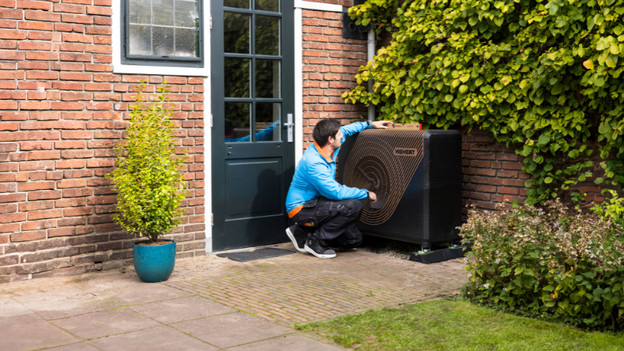 Flint of Sparrow: aan de gevel of in de tuin