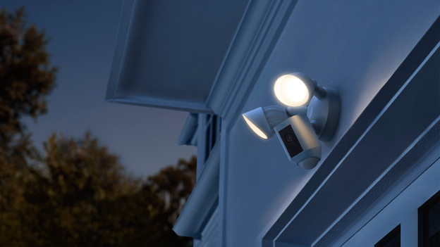 Floodlight of spotlight camera