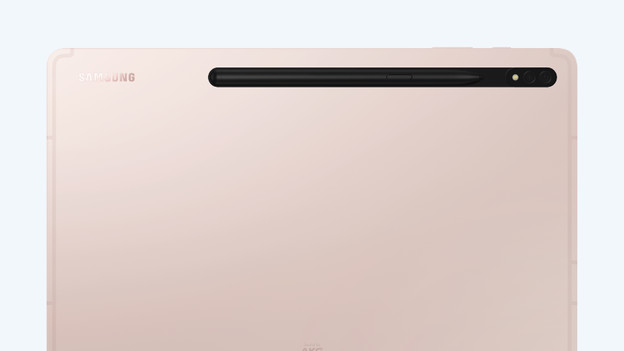 Tab S8 Plus: 12.4-inch AMOLED screen