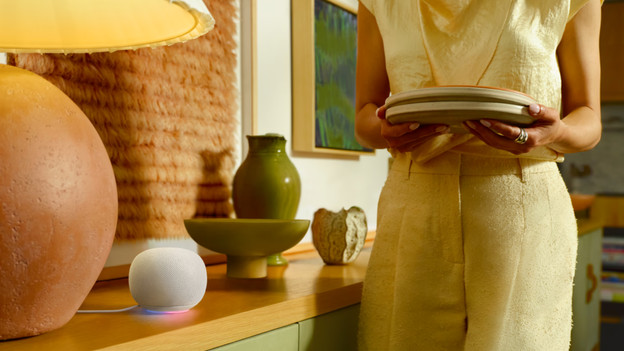 Hoe helpt de Google Home Speaker in huis?