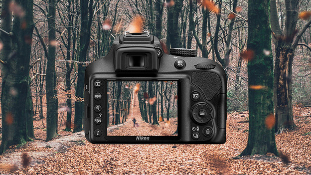 Take detailed photos with Nikon