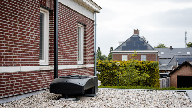 Blackbird: on the flat roof of a house, extension, or carport