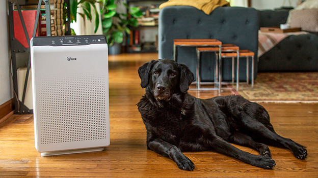 Air purifier that helps with pet odors