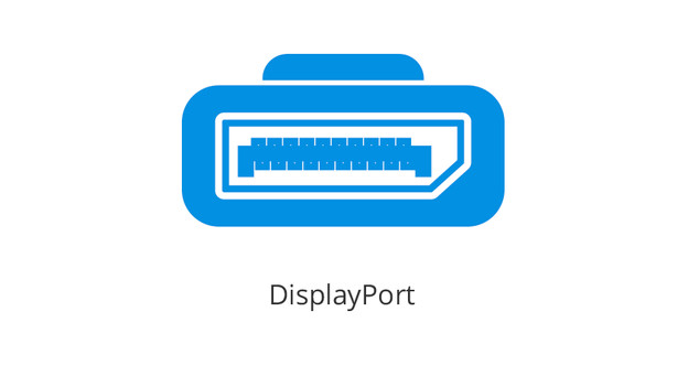 DisplayPort.