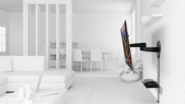 Tiltable and swivel wall mount