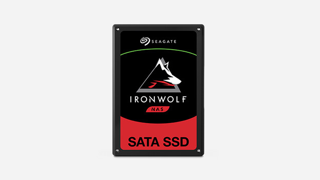 Seagate IronWolf SSD