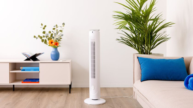 Ventilator: licht van gewicht en weinig onderhoud