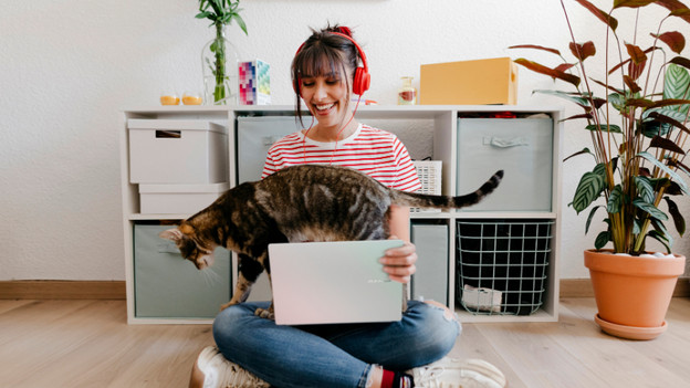 Persoon met laptop en kat op schoot