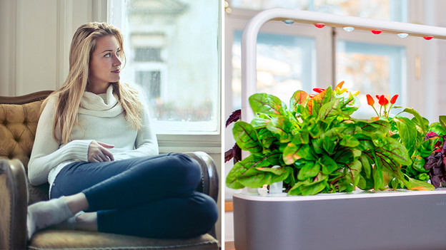 Smart vegetable garden