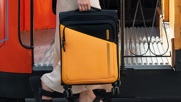 verboden voorwerpen handbagage koffer