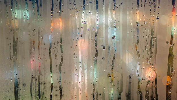 dehumidifier	condensation