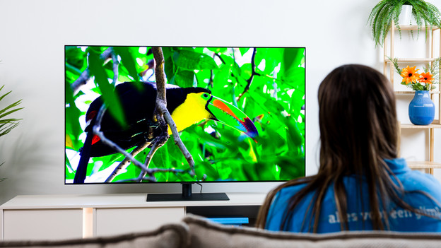 Screen size LG television