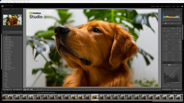 NVIDIA Studio in Adobe Photoshop