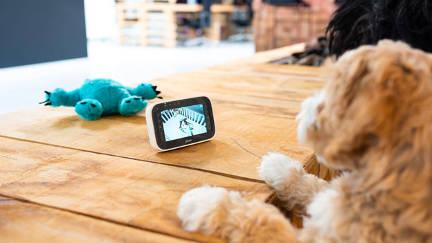  Beeldbabyfoon: groot genoeg voor eengezinswoning