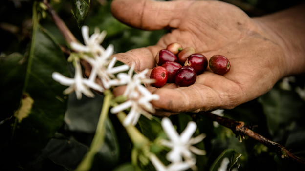 Samenwerking aan betere landbouw