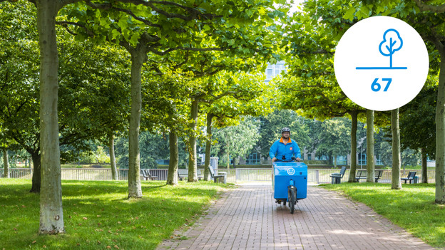 F kost 67 bomen een jaar groeien