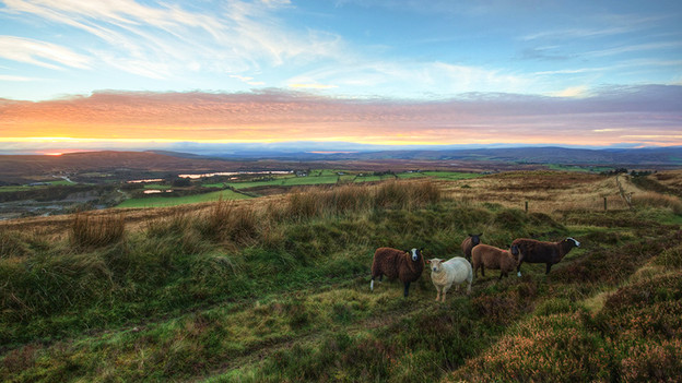 Wide-angle with zoom