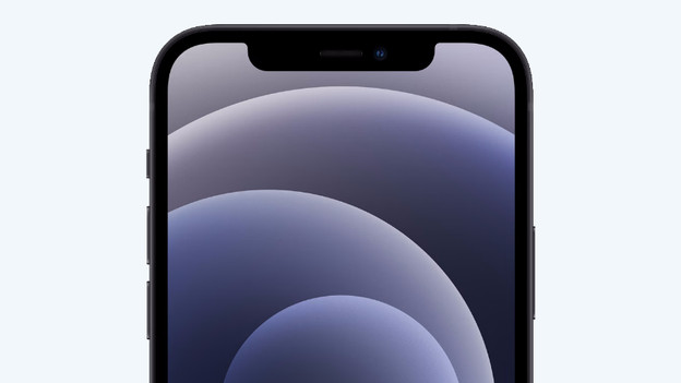 iPhone 12: a bit smaller 6.1-inch OLED screen