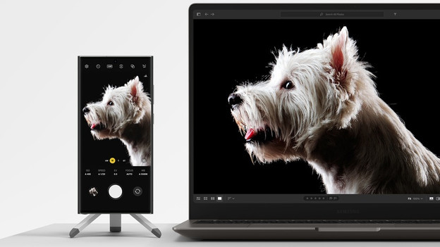 Transfer files from smartphone to laptop