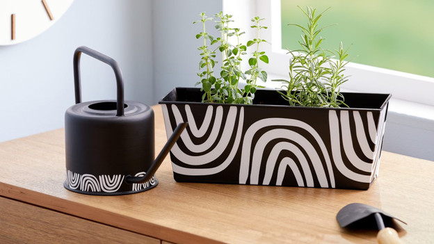 Cricut creation watering can