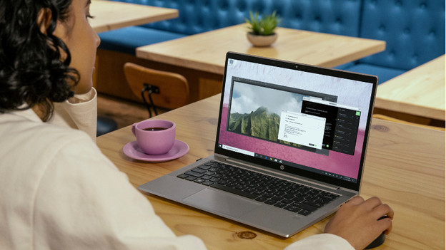 HP ProBook & EliteBook: shared of Intel Arc graphics videokaart