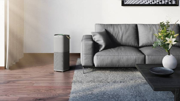 Air purifiers with ionizer