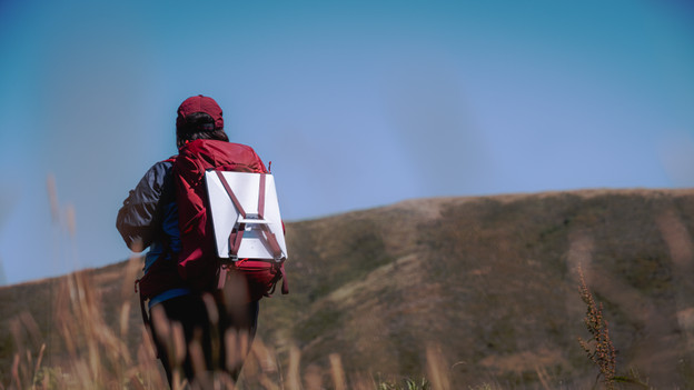 Starlink Roam: internet while you travel