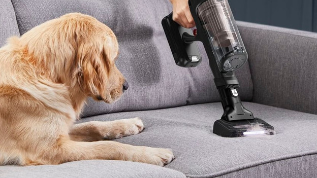 Animal steelstofzuigers voor dierenharen