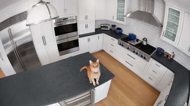 hoe groot is de ruimte die je wilt bewaken?