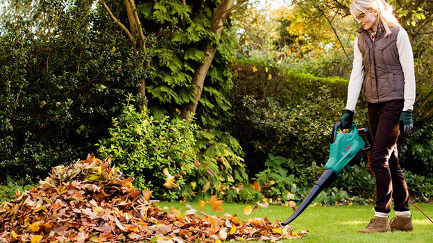 Lawn free from leaves