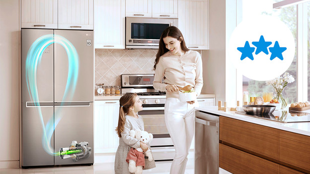 Fridge with inverter motor