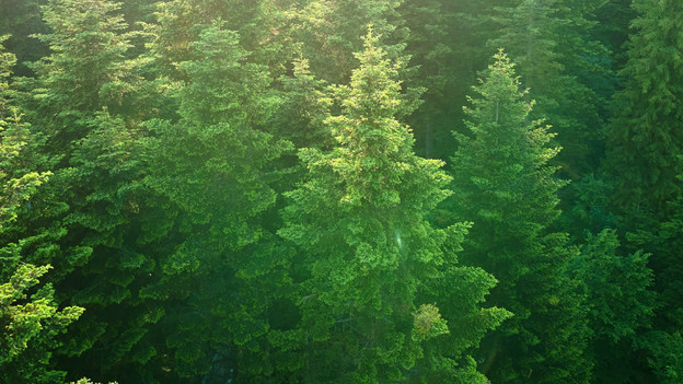 Duurzaam en gerecycled materiaal in ASUS laptops