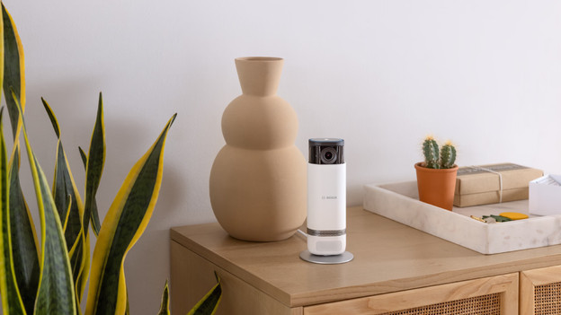 IP camera's