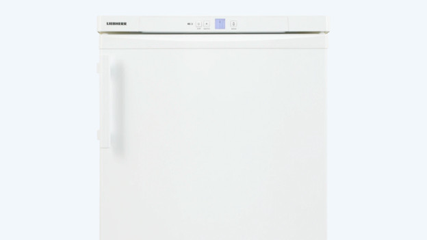 Mini vriezer: extra klein met ruimte voor ijsjes